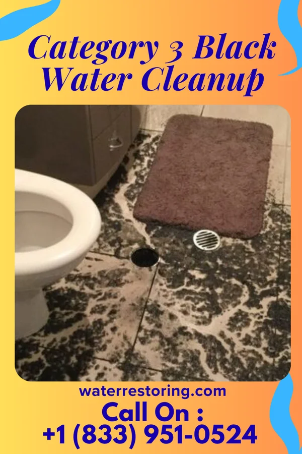 Category 3 Black Water Cleanup in Bandera, TX
