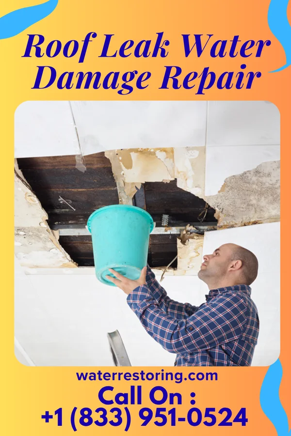 Roof Leak Water Damage Repair in Bandera, TX