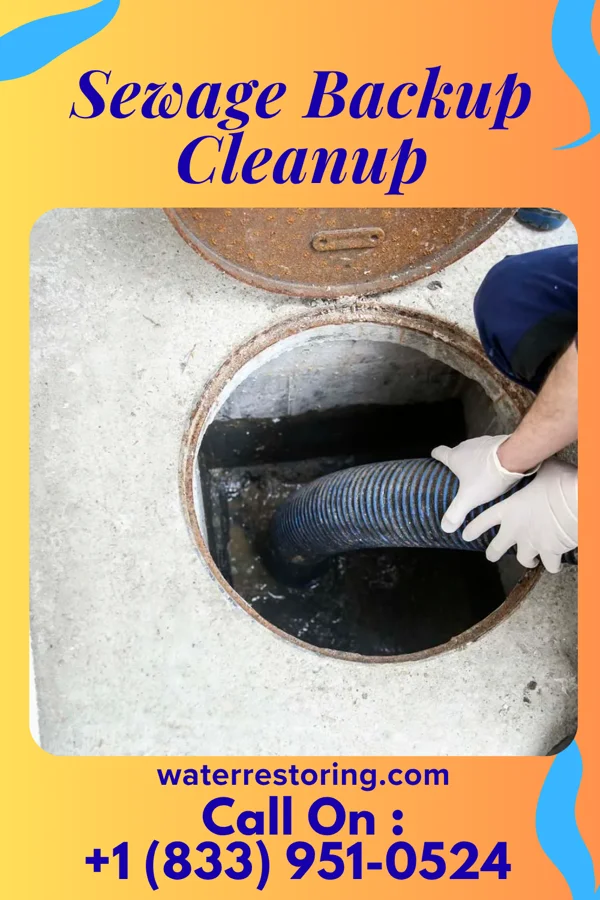 Sewage Backup Cleanup in Bandera, TX